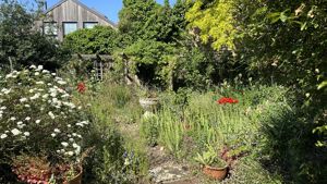 Summer Garden- click for photo gallery